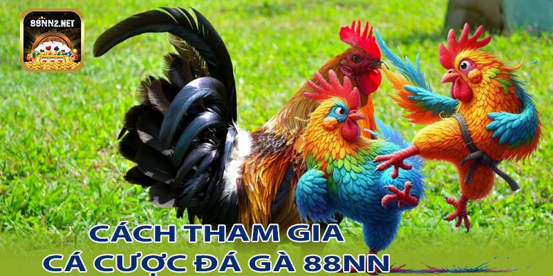 Cách tham gia cá cược đá gà 88NN